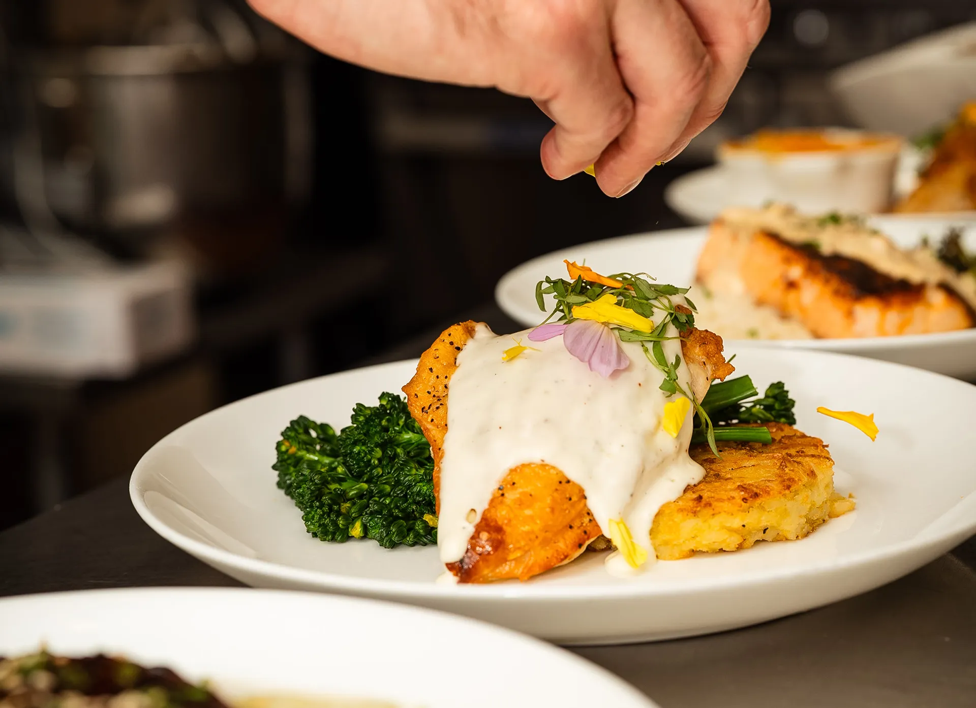 Chef garnishing a plated chicken entrée with broccolini and cream sauce