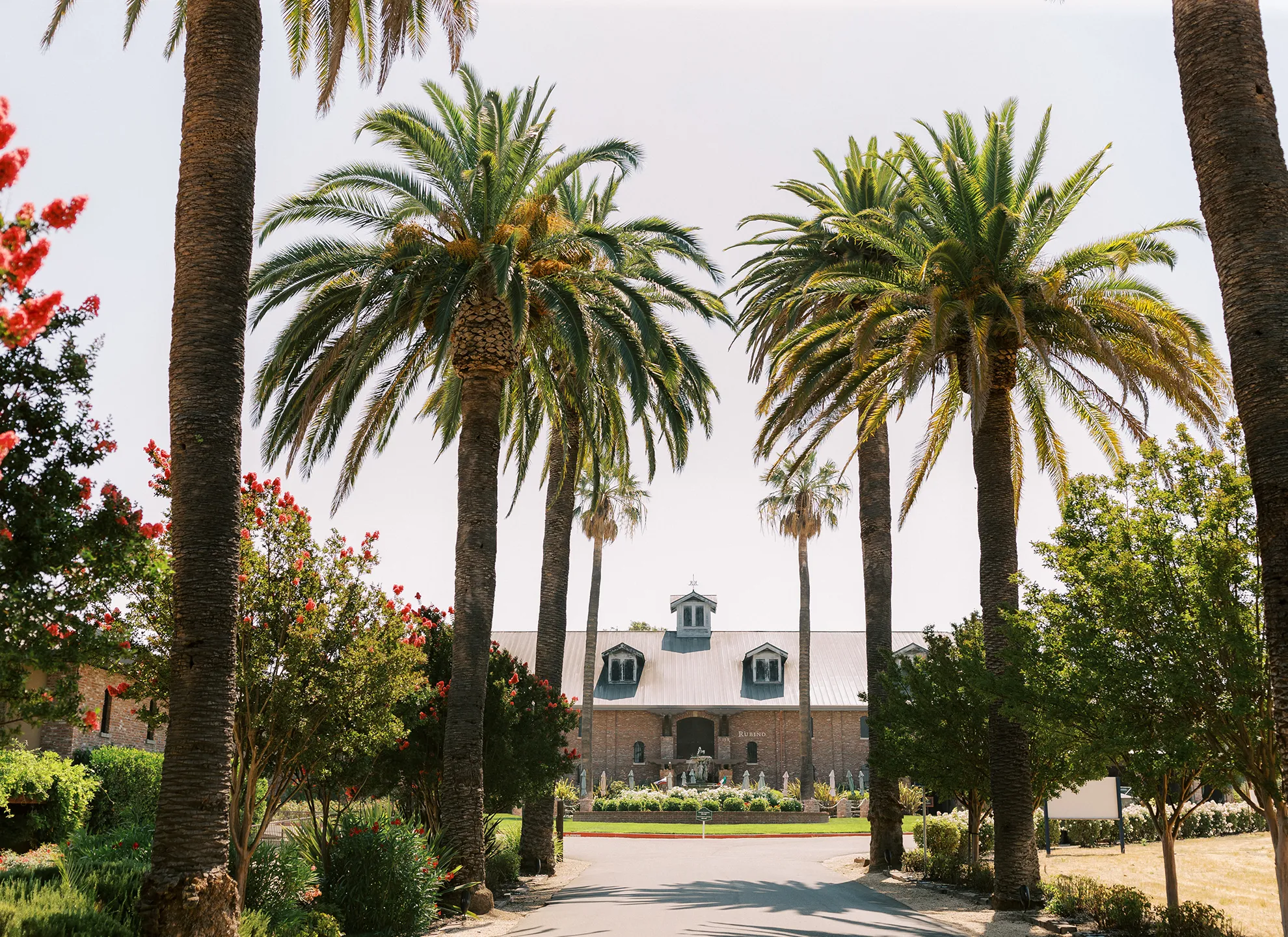 The Palm driveway approach framed by towering palm trees with the barn-style venue building in the distance